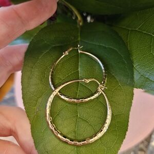 Pretty Bird Gold Painted Hoop Earrings